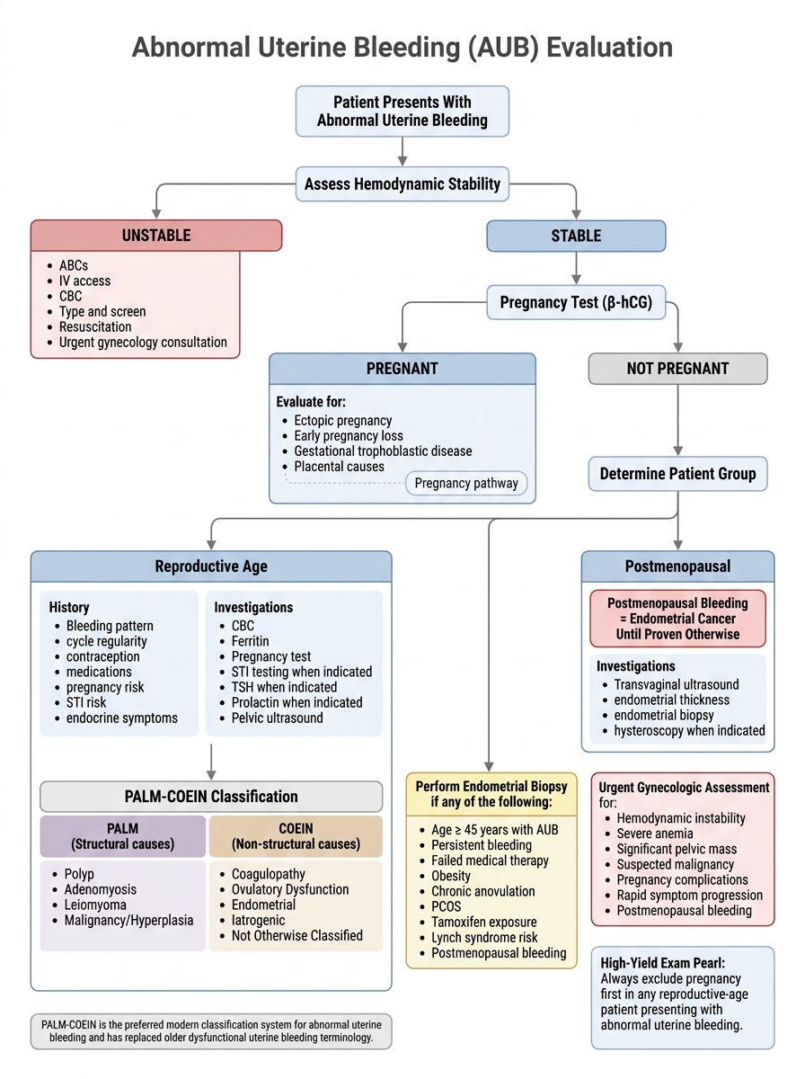 AUB + Anemia: NP Comprehensive Case — clinical illustration