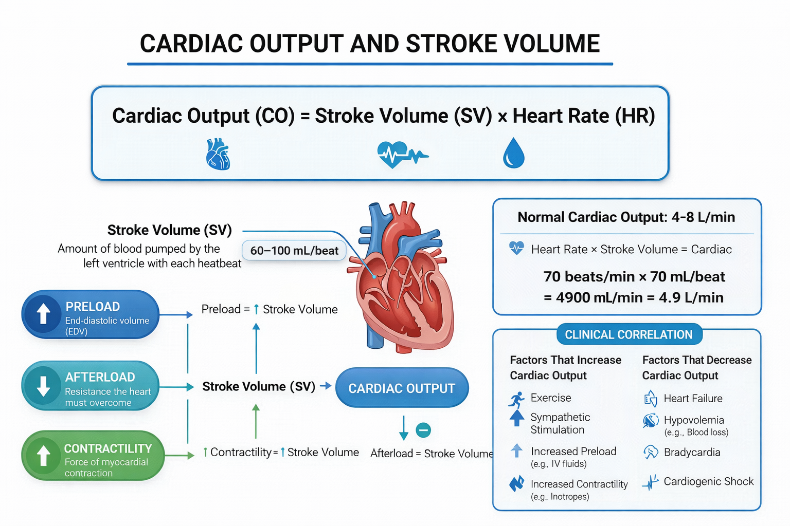Cardiac Output — clinical illustration