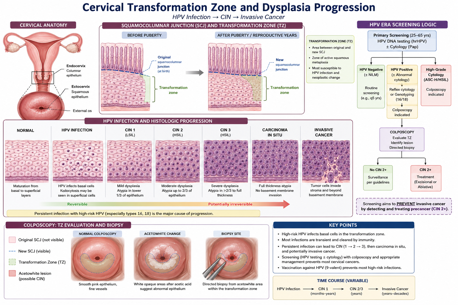 NPO & Post-Op Diet Progression — clinical illustration